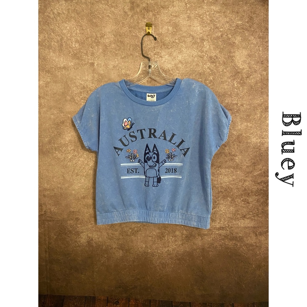 Bluey~Australia Girls Size L (10/12) Embroidered Short Sleeve cropped Top~EUC